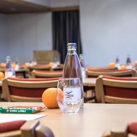 Geilo Hotel Hotell